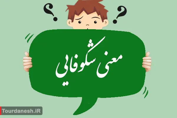 معنی کلمه شکوفایی