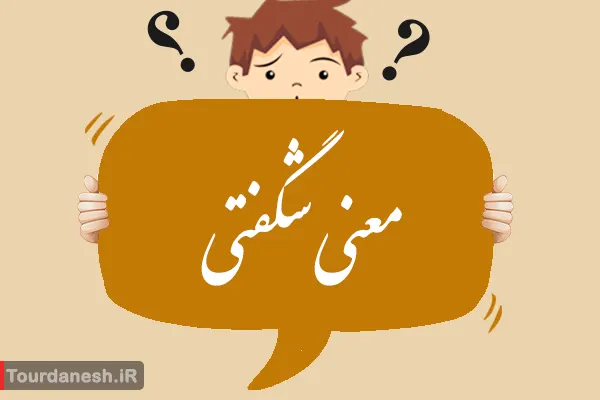 معنی کلمه شگفتی