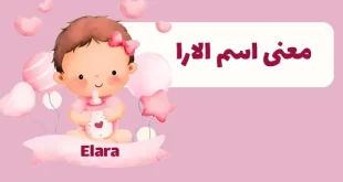 معنی اسم الارا (نام دخترانه)
