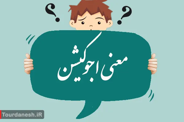 معنی کلمه اجوکیشن (Education)