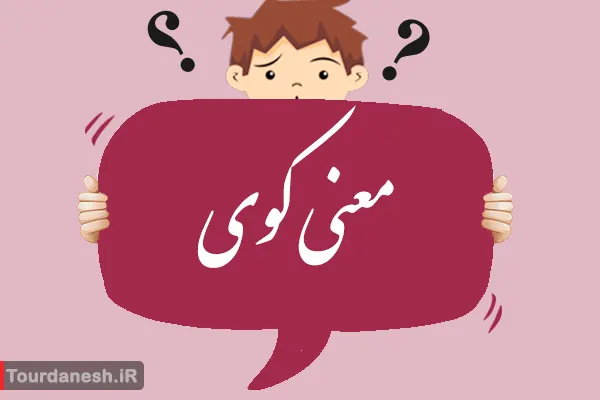 معنی کلمه کوی چیست و تفاوت آن با کوچه