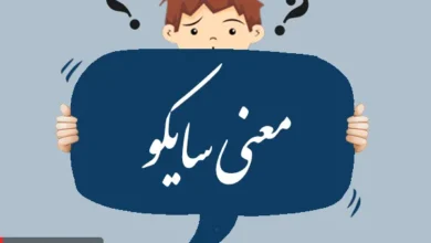 معنی کلمه سایکو