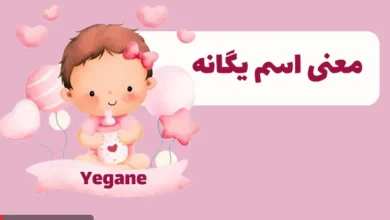 معنی اسم یگانه