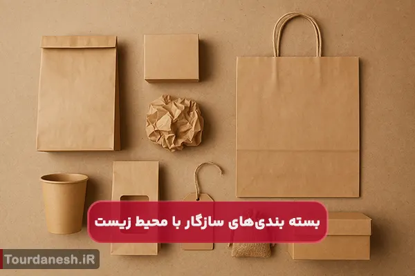 معرفی بسته بندی های سازگار با محیط زیست