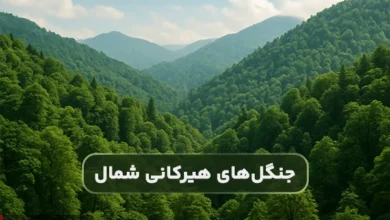 معرفی جنگل های هیرکانی شمال ایران
