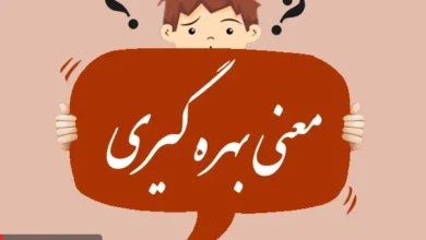 معنی کلمه بهره گیری