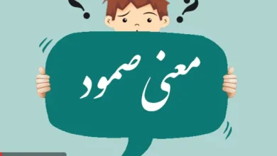 معنی کلمه صمود چیست؟