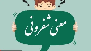معنی کلمه شفرونی چیست؟