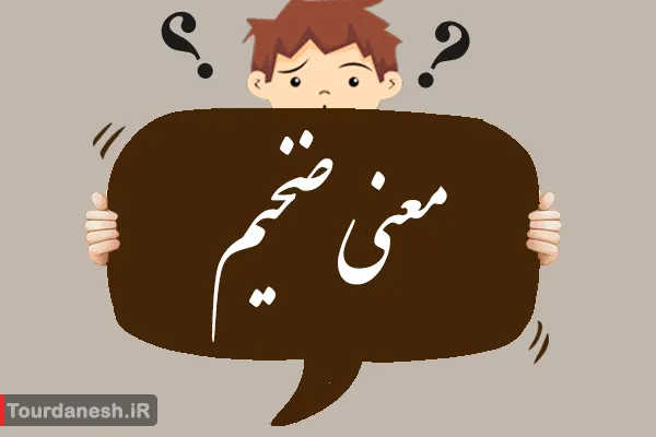 معنی کلمه ضخیم