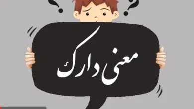 معنی کلمه دارک