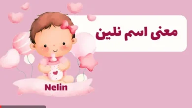 معنی اسم نلین