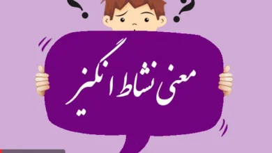 معنی کلمه نشاط انگیز چیست؟