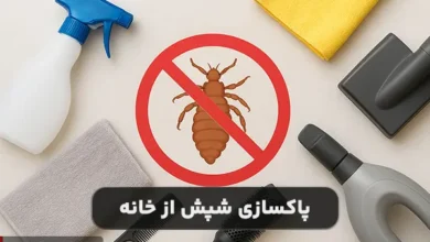 خانه را چطور از شپش پاکسازی کنیم؟