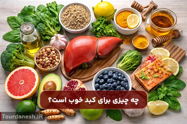 چه چیزی برای کبد خوب است؟