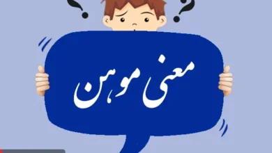 معنی کلمه موهن و تلفظ آن