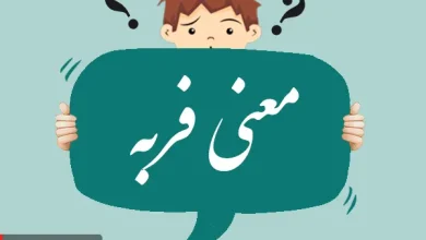 معنی، مخالف و هم خانواده فربه