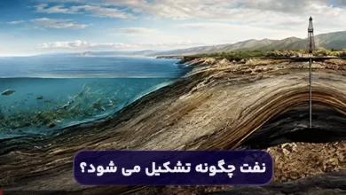 نفت چگونه تشکیل می شود؟ بیشتر بدانید