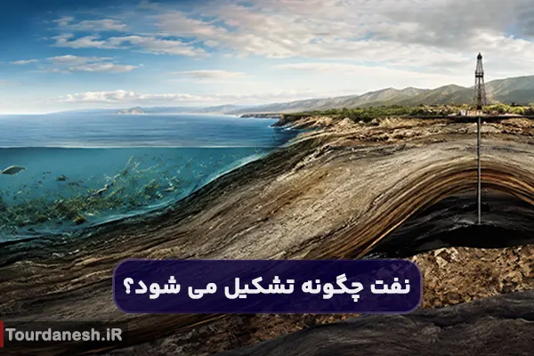 نفت چگونه تشکیل می شود؟ بیشتر بدانید