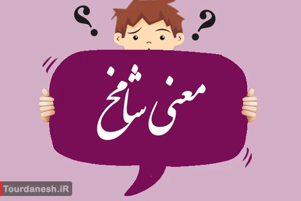 معنی کلمه شامخ و تلفظ آن