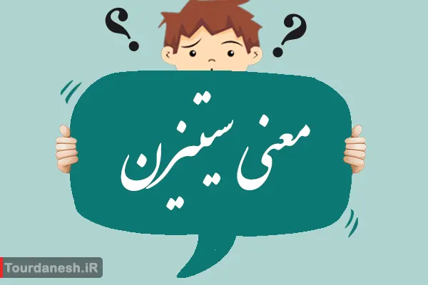 معنی کلمه سیتیزن چیست؟