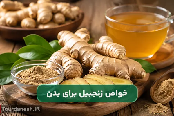 خواص زنجبیل برای بدن