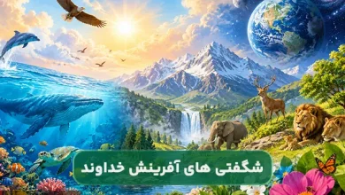 چند نمونه از شگفتی های آفرینش خداوند